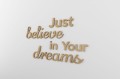 0000191-justbelieveinyourdreams.jpg