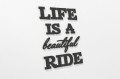 0000273-lifeisabeautifulride2.jpg