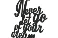 Moderat-napis-na-sciane-Never-let-go-of-your-dream-dekoracja-3d-czarny-1.jpg