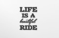 0000273-lifeisabeautifulride1.jpg