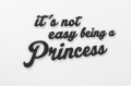 0000272-itsnoteasybeingaprincess2.jpg