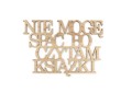 nie-moge-spac-bo-czytam-ksiazki-napis-na-sciane-z-drewna-sklejka-moderat.jpg
