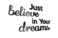 Just believe in Your Dreams.png