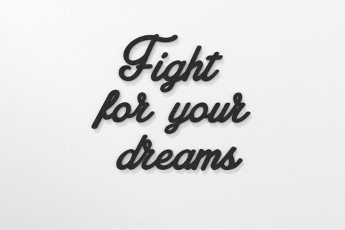 0000270-fightforyourdreams2.jpg