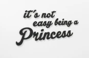0000272-itsnoteasybeingaprincess2.jpg