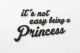 0000272-itsnoteasybeingaprincess2.jpg