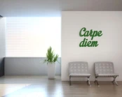 carpe-diem-napis-na-sciane-manufaktura-moderat-01.jpg