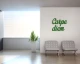carpe-diem-napis-na-sciane-manufaktura-moderat-01.jpg