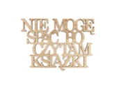 nie-moge-spac-bo-czytam-ksiazki-napis-na-sciane-z-drewna-sklejka-moderat.jpg