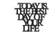 0020153-napis-na-sciane-z-plyty-hdf3-Today-is-the-best-day-of-your-life.jpg