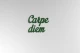 carpe-diem-napis-na-sciane-manufaktura-moderat-03.jpg