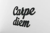 0000059-carpediem08.jpg